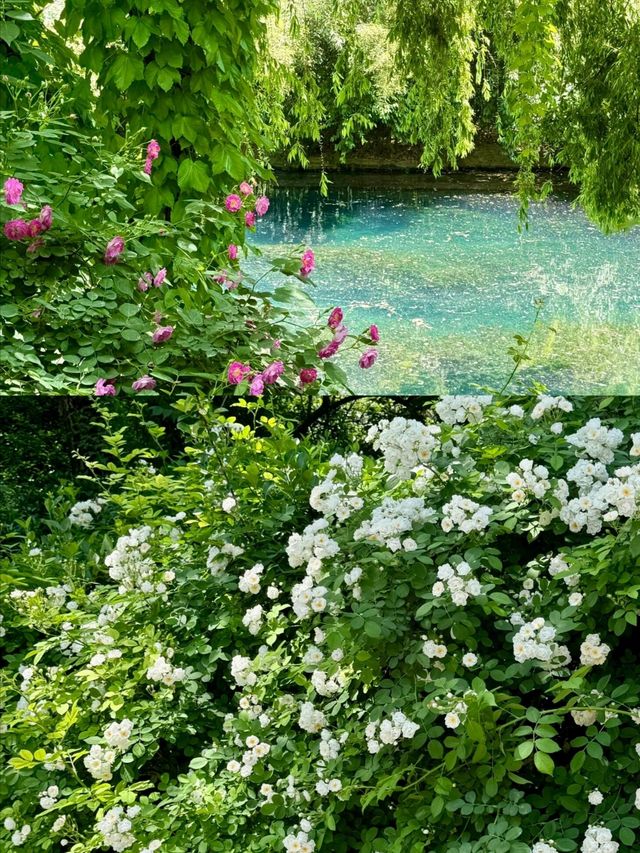 濟南現實版莫奈花園:綠意盎然的花園之城。
