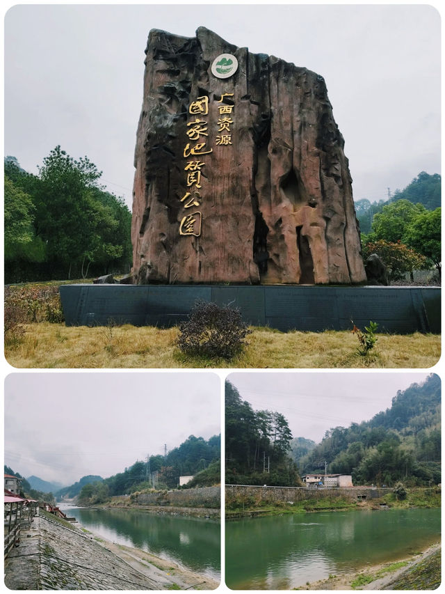 打卡廣西資源國家地質公園。