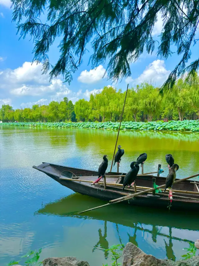 Suzhou Surroundings | The Hidden Jiuzhaigou of Jiangnan