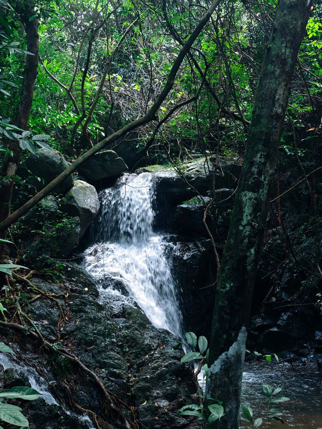 陽台山公園。