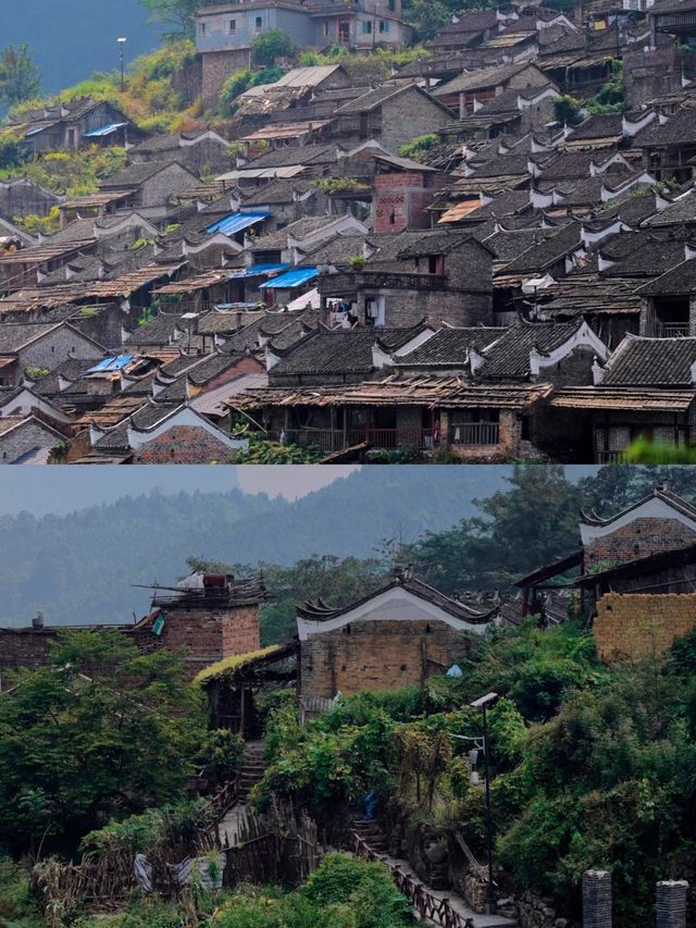 我在廣東，找到了秋日童話！。