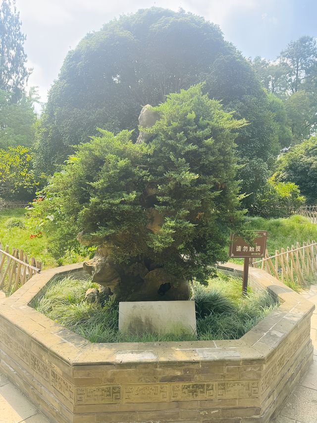尤家花園，一個被稱為皖北豫園的地方！。