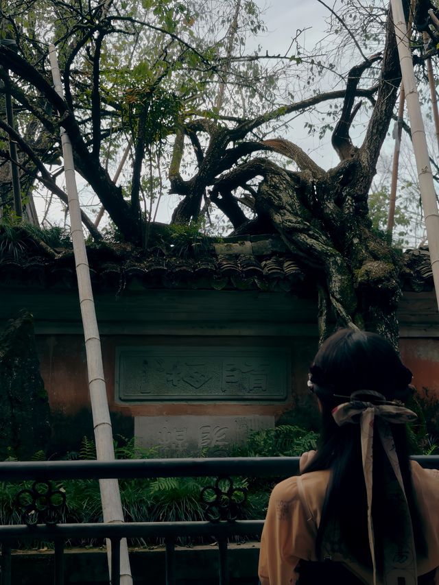 國清寺實用攻略。