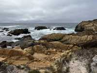Point Lobos 州保護區。