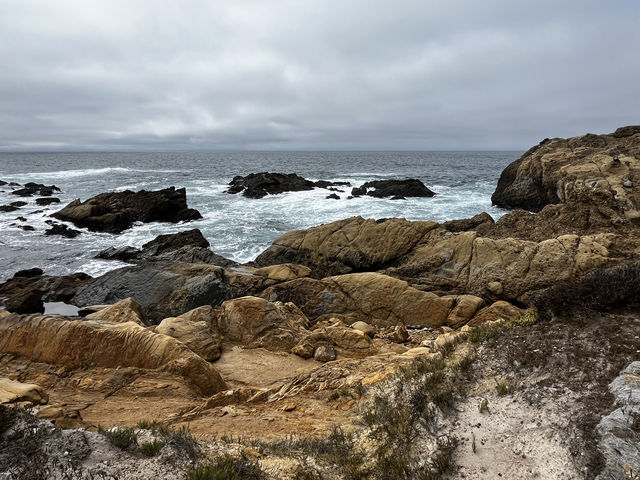 Point Lobos 州保護區。