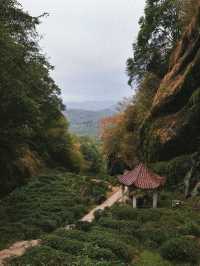 武夷山白雲禪寺日出攻略。