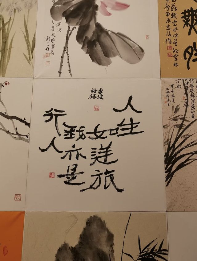 寧波美術館：藝術之旅，心靈之約。