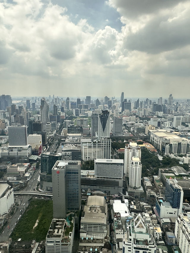 A Birds Eye view of Bangkok, a sprawling metropolis 