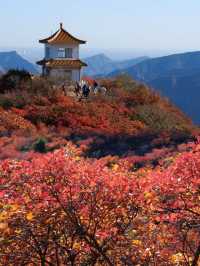 快來藥王谷看紅葉了，太美了吧。