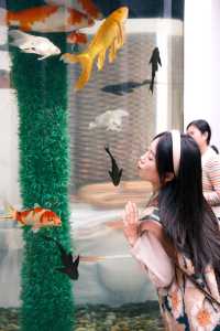 來成都玩一定不能錯過動物園。