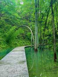 長沙 森林氧吧 大山沖森林公園 小九寨溝。