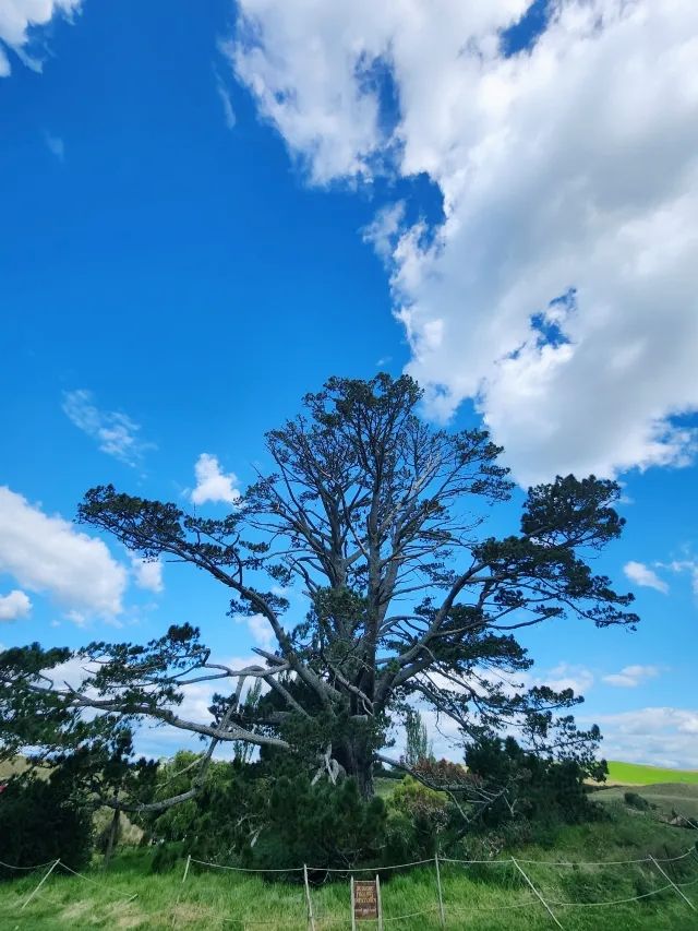 童話世界·霍比特村。