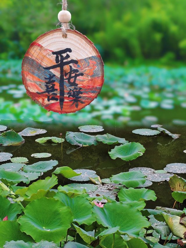 晚秋遇上最美海上森林。