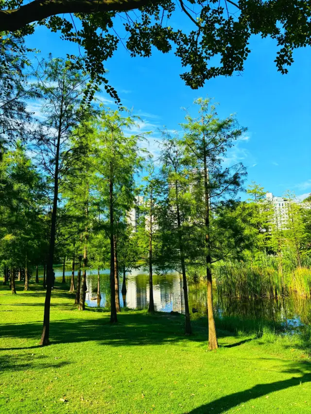 Xiangmi Park | A dreamland in the city. 