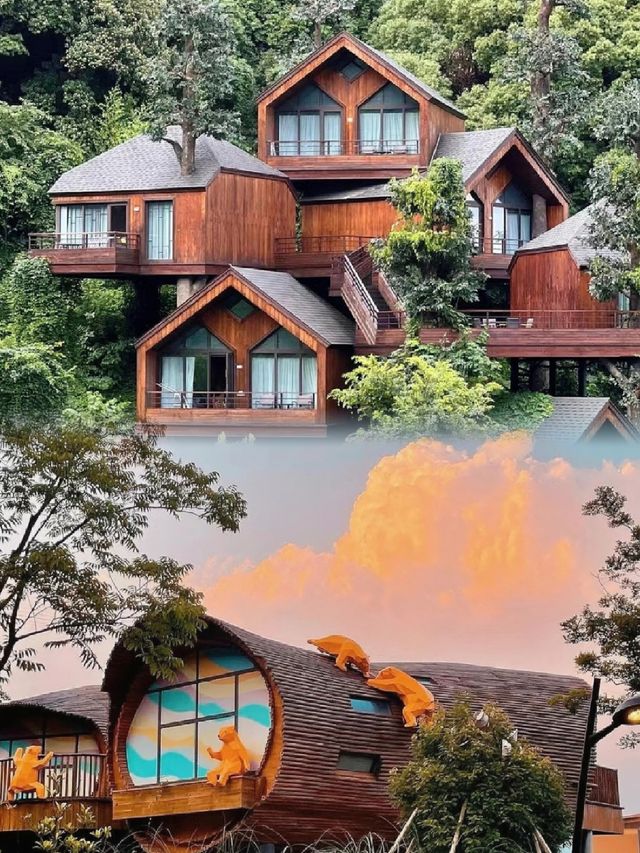莫干山   體驗掛在樹屋裏的聊友。