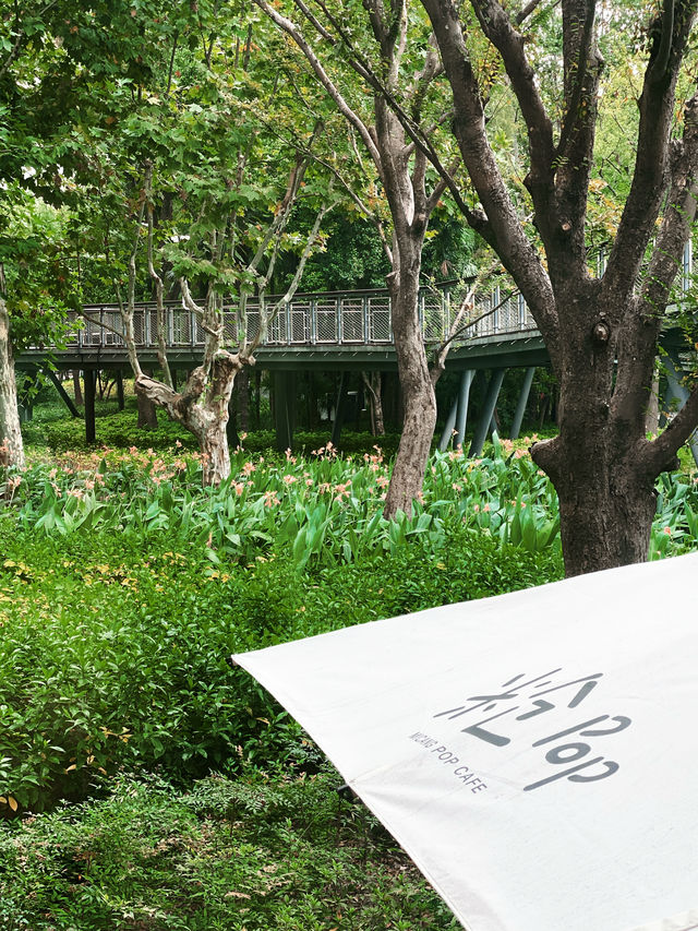 身邊的寶藏公園。
