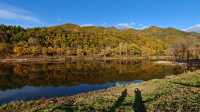 山色正濃伊春行（五）：秋意五花山。