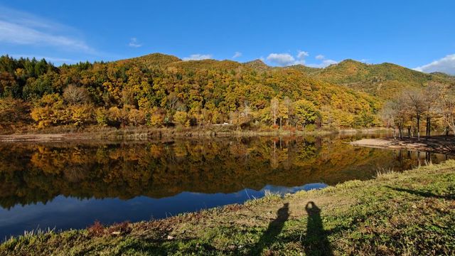 山色正濃伊春行（五）：秋意五花山。