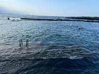 和平島地質公園郊遊體驗 🌊🌿