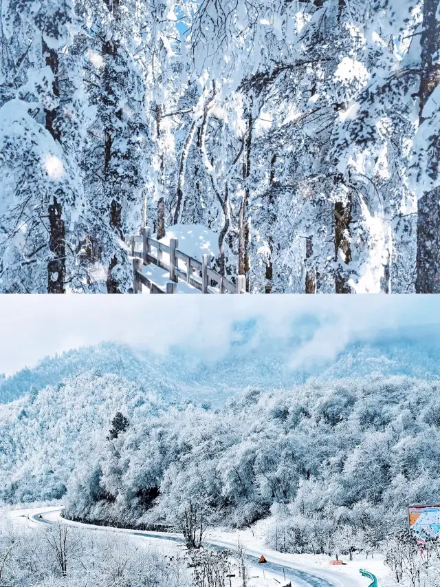 這輩子都要帶家人去的地方！