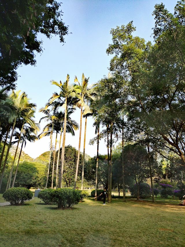 養眼養心又養人的地方——廣西柳州龍潭公園。