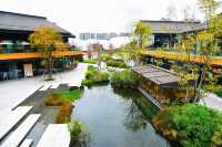 藝術與自然的完美融合｜天府藝術公園。