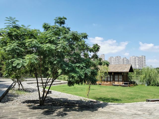 浙南威尼斯三垟濕地丨江南的夏日秘境。