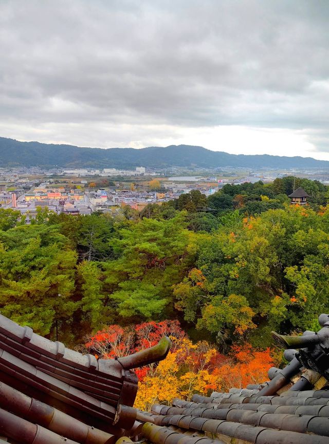 伊賀上野城。