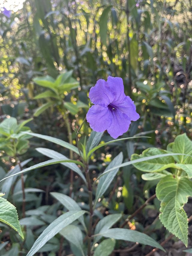 撫州2日遊 玩轉全城的秘密攻略。