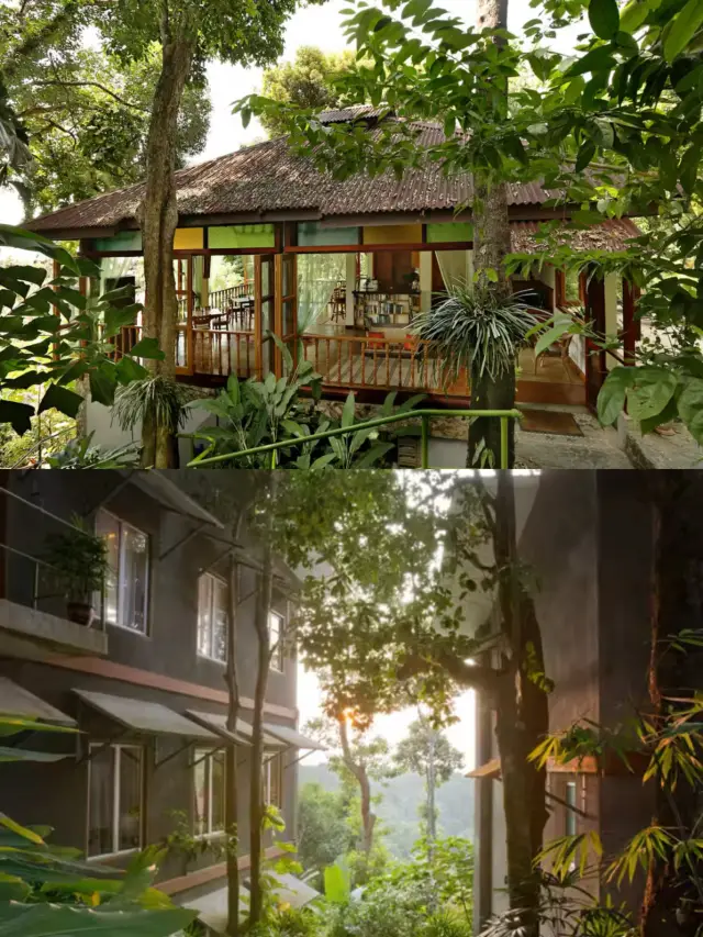 엠방 레인포레스트 리조트 | 자연 속에 숨겨진 럭셔리한 천국.