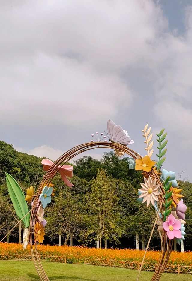 打卡、拾秋、逛集市⋯⋯在上方山下欣賞橙黃橘綠。