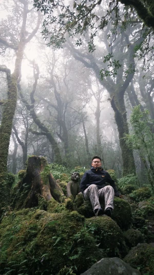 哀牢山⛰️來看看怎麼個事