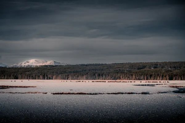 Winter in Yellowstone is also beautiful