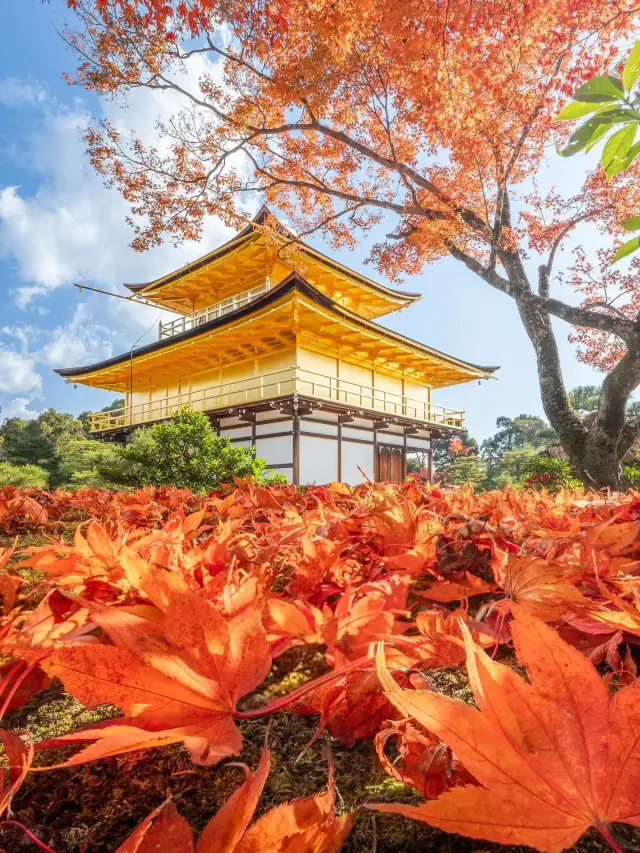 8日冬遊日本 雪景溫泉全攻略