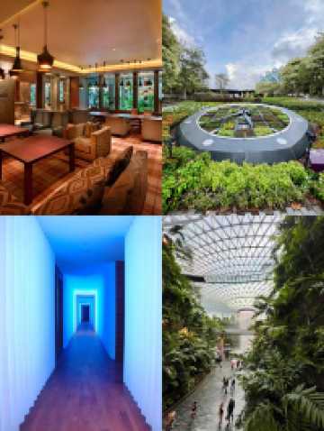 新加坡|君悅酒店的奢華探險