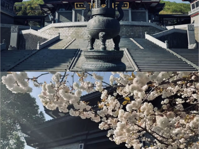 生活其實也很簡單，喜歡就爭取，得到的就珍惜，失去了就忘記