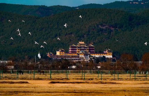 《玉龍劃船：悠遊仙境之旅》