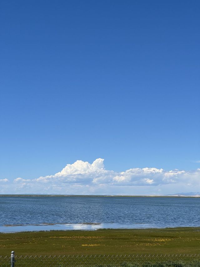西寧-青海湖-茶卡鹽湖小長假必遊之地