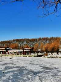 吉林白城|嫩江灣•冬日裡的嫩江灣