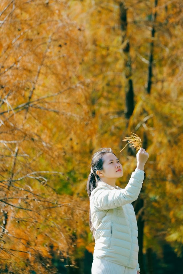 這裡拍照打卡太美了