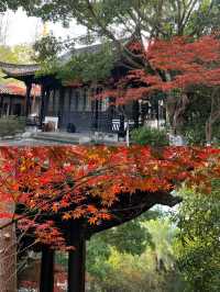 揭秘｜資陽三賢文化公園背後的故事~