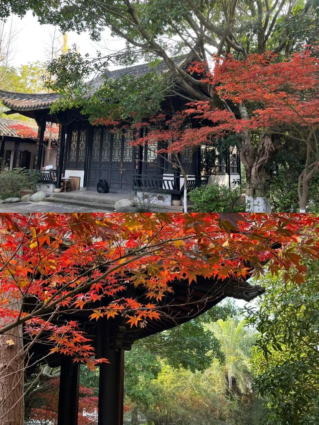 揭秘｜資陽三賢文化公園背後的故事~