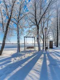 寒假帶娃看雪,威海之行必看攻略!