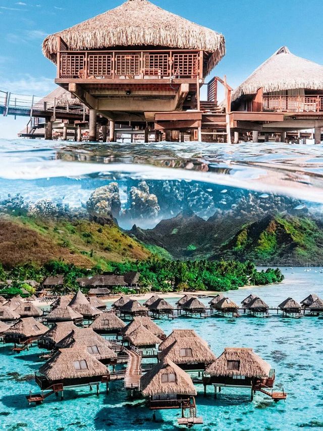 大溪地瑞吉，我的夢幻海島度假天堂