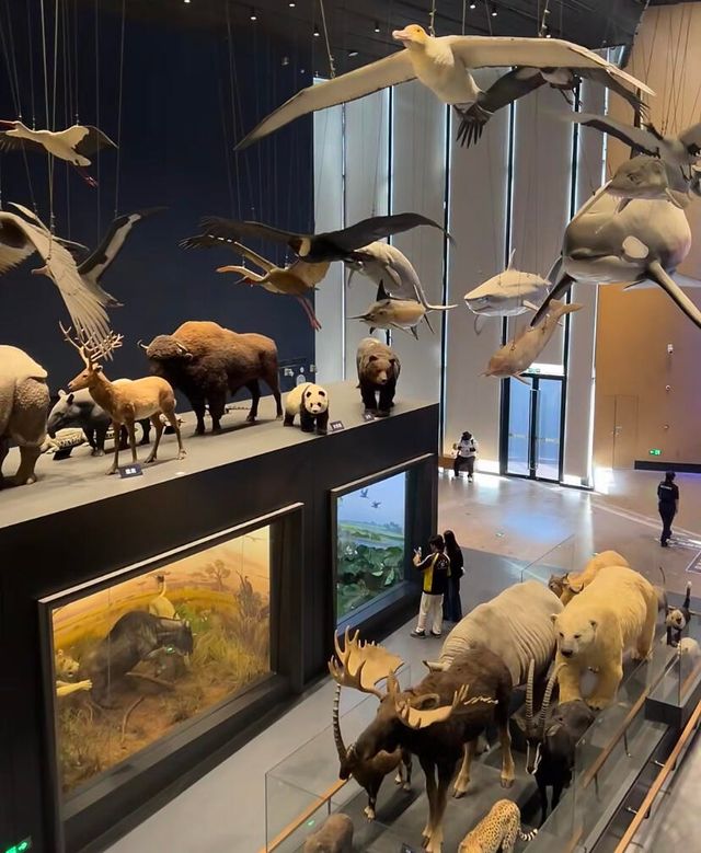 中國古動物博物館（保定自然博物館）詳細攻略