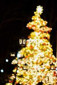 Experience the Magic of Christmas at Karuizawa Kogen Church