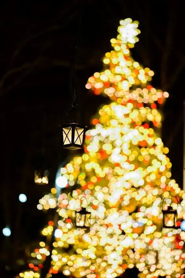 Experience the Magic of Christmas at Karuizawa Kogen Church