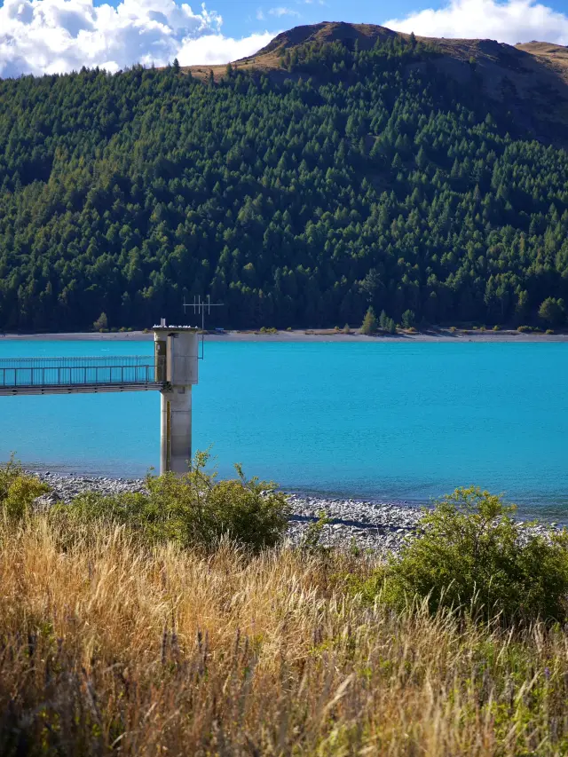 3-Day New Zealand Tour | A Winter Fairy Tale