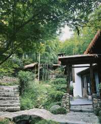 一間住喺山裏嘅氧吧民宿