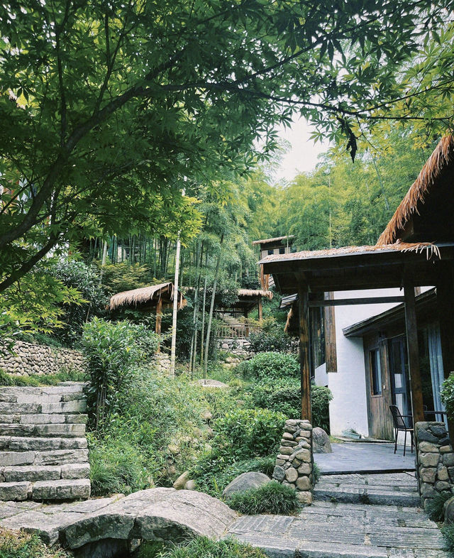 一間住喺山裏嘅氧吧民宿